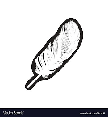 Stylish black and white icon feather bird vector image