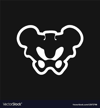 Stylish black and white icon hip bone vector image