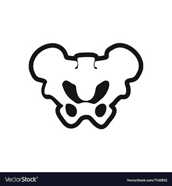 Stylish black and white icon hip bone vector image