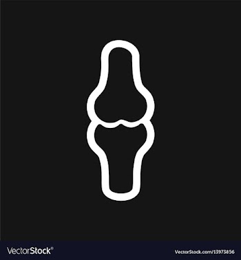 Stylish black and white icon human bone vector image