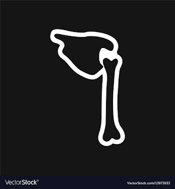 Stylish black and white icon human bone vector image