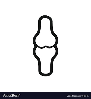 Stylish black and white icon human bone vector image