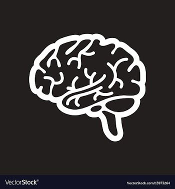 Stylish black and white icon human brain vector image