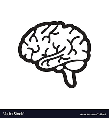 Stylish black and white icon human brain vector image