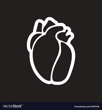Stylish black and white icon human heart vector image