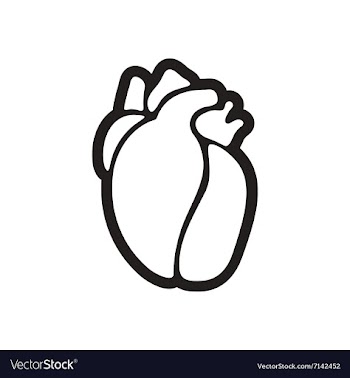 Stylish black and white icon human heart vector image