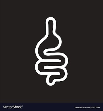 Stylish black and white icon human intestine vector image