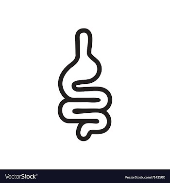 Stylish black and white icon human intestine vector image