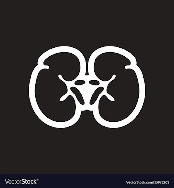 Stylish black and white icon human kidney vector image