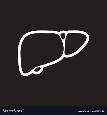 Stylish black and white icon human liver vector image