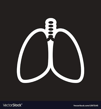 Stylish black and white icon human lungs vector image