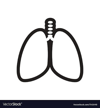 Stylish black and white icon human lungs vector image