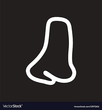 Stylish black and white icon human nose vector image