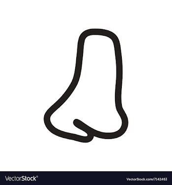 Stylish black and white icon human nose vector image