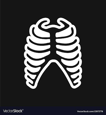 Stylish black and white icon human rib vector image