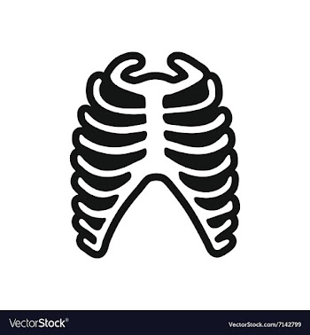 Stylish black and white icon human rib vector image