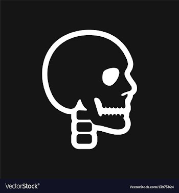 Stylish black and white icon human skull vector image