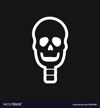Stylish black and white icon human skull vector image