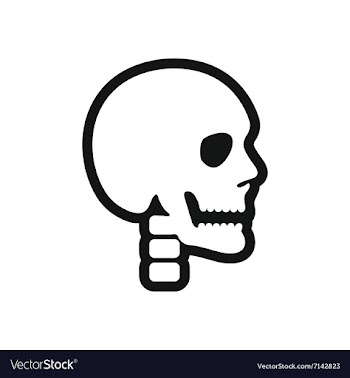 Stylish black and white icon human skull vector image