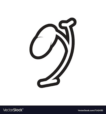Stylish black and white icon human spleen vector image