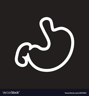 Stylish black and white icon human stomach vector image