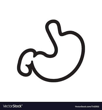 Stylish black and white icon human stomach vector image