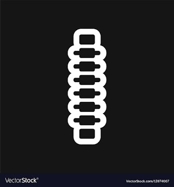 Stylish black and white icon human vertebra vector image