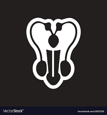 Stylish black and white icon male penis vector image