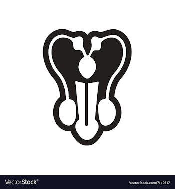 Stylish black and white icon male penis vector image