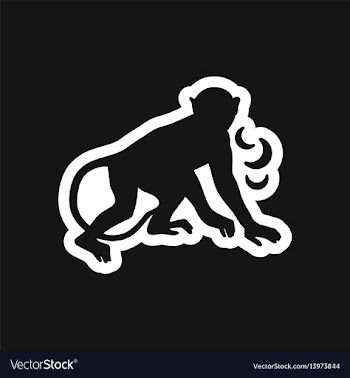 Stylish black and white icon monkey with bananas vector image