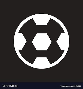 Stylish black and white icon soccer ball vector image
