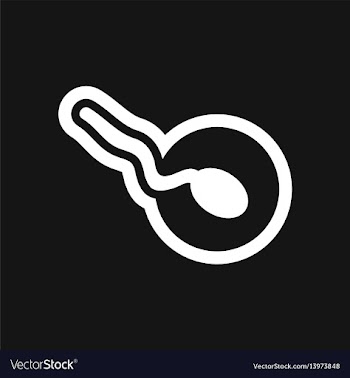 Stylish black and white icon sperm and egg vector image