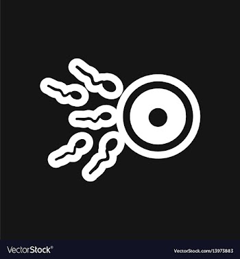 Stylish black and white icon sperm and egg vector image