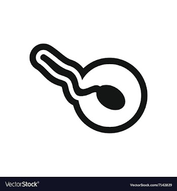 Stylish black and white icon sperm and egg vector image