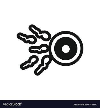 Stylish black and white icon sperm and egg vector image