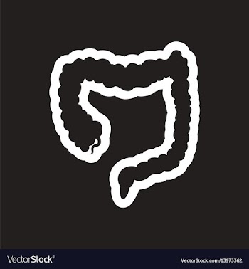 Stylish black and white icons duodenum gut vector image