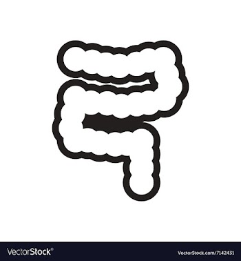 Stylish black and white icons duodenum gut vector image