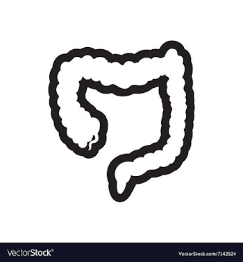 Stylish black and white icons duodenum gut vector image