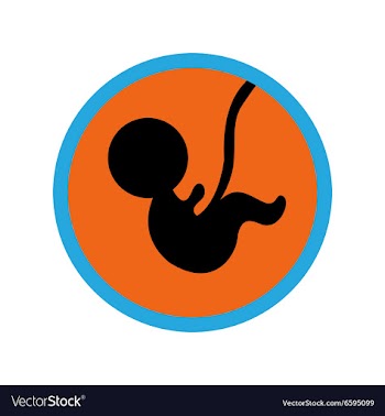 Stylish flat icon on white background child in vector image