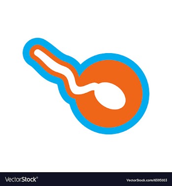 Stylish flat icon on white background sperm and vector image