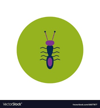 Stylish icon in color circle ant insect vector image