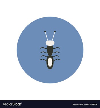 Stylish icon in color circle ant insect vector image