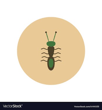 Stylish icon in color circle ant insect vector image