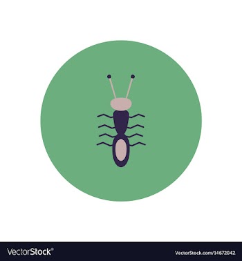 Stylish icon in color circle ant insect vector image