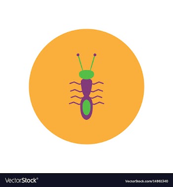 Stylish icon in color circle ant insect vector image