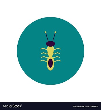Stylish icon in color circle ant insect vector image