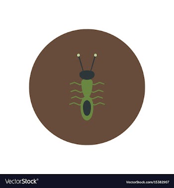 Stylish icon in color circle ant insect vector image