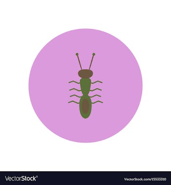 Stylish icon in color circle ant insect vector image