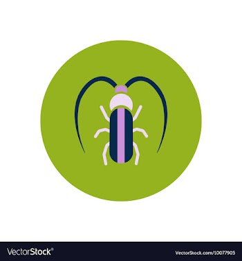 Stylish icon in color circle beetle barbel vector image