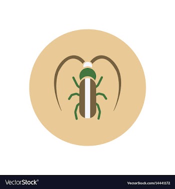 Stylish icon in color circle beetle barbel vector image